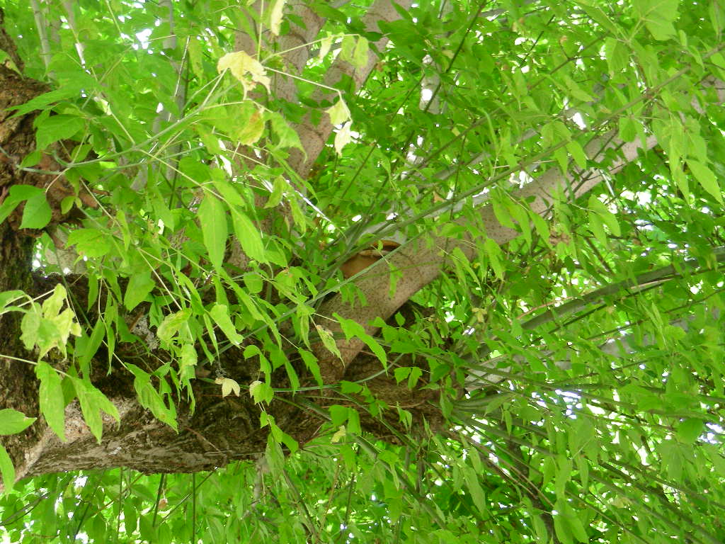 Eppure ti ho visto ...!!!(quiz)